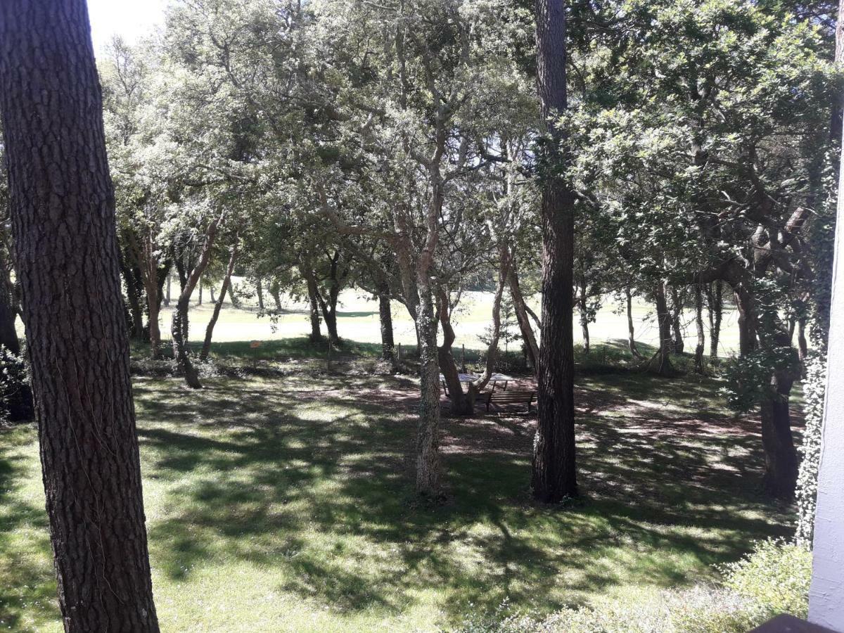 Moliets Plage Appartement Pour 4 Piscine Proche Plage Et Commerces מראה חיצוני תמונה